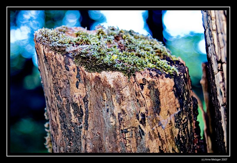 Stiftungsland Schäferhaus